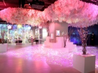 アラサー女子、有楽町で癒やされる。「NAKED」アート施設に行ってみた