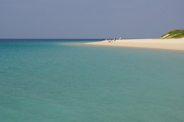 Nao Iizukaさん撮影、Flickrより