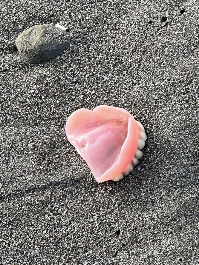 うそだろ...(画像はこけし山田@kokeshiyamadaさんのツイートより)