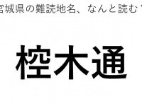 ヒント：ご○○○どおり