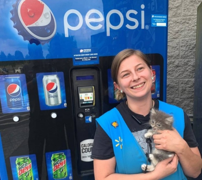 自動販売機の中に子猫！救出後、発見者の女性が家族に迎え入れる