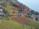 これぞ“超鳥瞰”！？　ドローンでホバリングする鷹を撮影