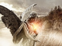 未来に人間の不死は実現するのか？異星人にも寿命があるのか？人間は今後どのように進化していくのか？