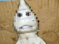 人面ザメ？エイリアンザメ？奇妙な顔を持つサメの赤ちゃんが発見される（※人面注意）