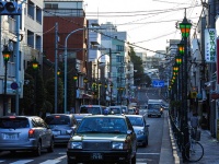 下町情緒のある根津周辺（m-louis .(R)さん撮影、flickrより）