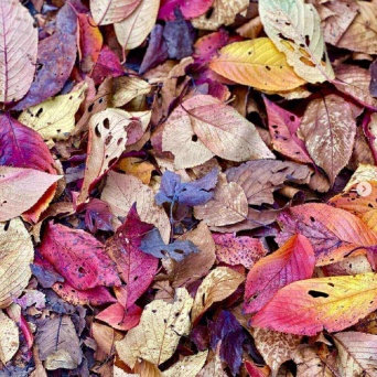 インスタグラム：工藤静香(@kudo_shizuka)より