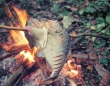 人類は78万年前から火を使って調理をしていた。最古の料理は焼き魚