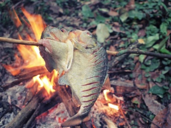 人類は78万年前から火を使って調理をしていた。最古の料理は焼き魚