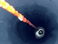 南極の氷の下にで”秘密の世界”を発見！ヨコエビの仲間たちがうようよ暮らしていた