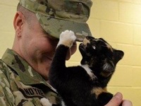 自分猫より犬派だったんだけど..犬派の男性が子猫を引き取ったところメロメロになってしまったのはある意味必然だった
