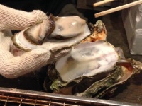 おおぶりの焼ガキどうぞ