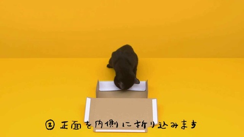 宅急便コンパクト