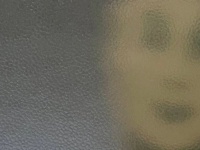 「ものすごい悲鳴上げてしまった」　窓の外から感じた視線、その正体は...