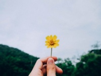 「嘘つき」の見抜き方
