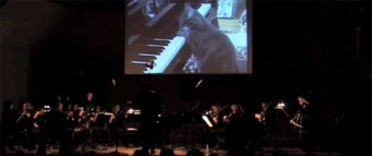 猫がオーケストラにピアノ演奏で出演！？しかもうまい具合に演奏とかみ合ってる！「CATcerto」