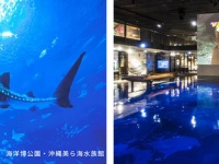 （一財）沖縄観光コンベンションビューローのプレスリリース画像