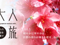 （一財）沖縄観光コンベンションビューローのプレスリリース画像