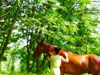 星野リゾートのプレスリリース画像