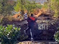 川を颯爽と飛び越えた犬、続いて少年も飛び越えようとするが悲劇の瞬間はこの後すぐ！