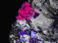光がまったく届かない地底で光合成細菌が発見される。予想外の生存メカニズムの発見で、火星生命体への期待度アップ
