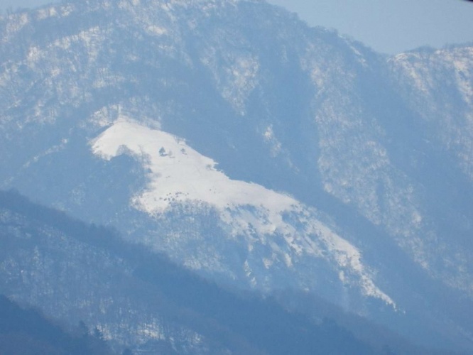 写真は10年以上前に撮影したもの（画像は神奈川県自然環境保全センター公式Xより）