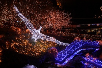 国営備北丘陵公園のイルミネーション（nimameさん撮影、flickrより）
