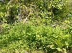 釣りをしていたら、思いもよらぬ“◯◯”に懐かれてしまった男性