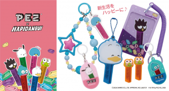 イワヤ株式会社のプレスリリース画像