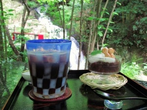 滝カフェきららはペット同伴OKの店なので