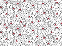 ちょっと一息ついてみよう。シロクマの大群の中に1匹だけいる犬を探せ！