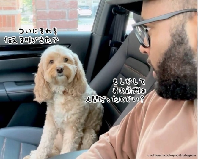 ついに伝える時がきたか!前世は人間だったことを問われた犬の驚きの反応