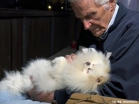 辛い別れを経験したおじいさんの元にやってきた小さな天使は保護犬だった