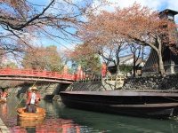 「清流の国ぎふ」めぐる旅キャンペーン事務局のプレスリリース画像