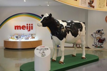 夏休みの自由研究にぴったり！茨城の見学できる工場13ヵ所を紹介