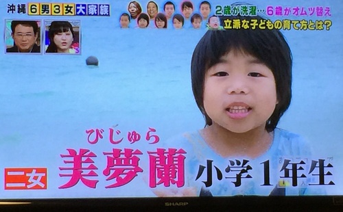美夢蘭