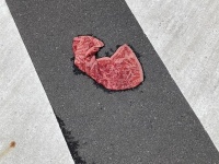 なぜこんな場所に？　横断歩道に落ちてた「めっちゃいい肉」の正体が衝撃的だった