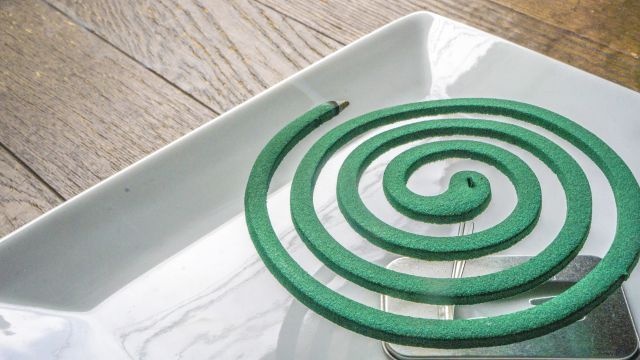 虫刺されなどの痒みがぶり返すのはどうして?知って納得のメカニズム