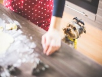 〇〇ベタとは一緒に暮らせない!?　男性が許せないのは「料理ベタ」or「掃除ベタ」どちらの女性？
