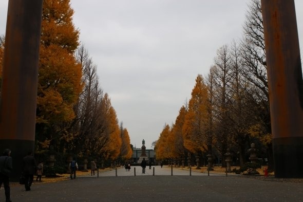 town20151228112548.jpg