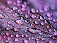 雨から電気を効率的に生成するデバイスが発明される（香港研究）