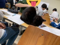 トッポ（＠bukentoppo）さんのツイート