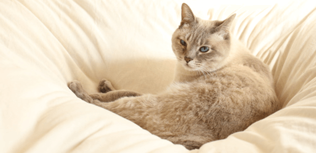 「Doctors Me（ドクターズミー）」コラム画像