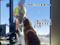 15階の窓拭き作業員におもちゃをプレゼントしようとする犬