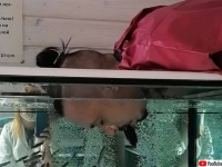 ドクターフィッシュに顔の角質を食べてもらったら地獄絵図のように！（※魚大量出演中）