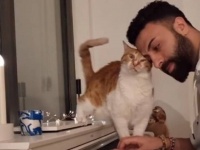 寒い夜だからトルコの猫天使サーパーさんちにお邪魔しようよ。今日も愛猫とやさしいピアノレッスンが続いていたよ。