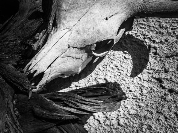 skull-219512_640_e