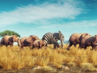 ダーウィンの性淘汰説に矛盾。むしろメスが多い時の方が進化が進むことが明らかに（英研究）