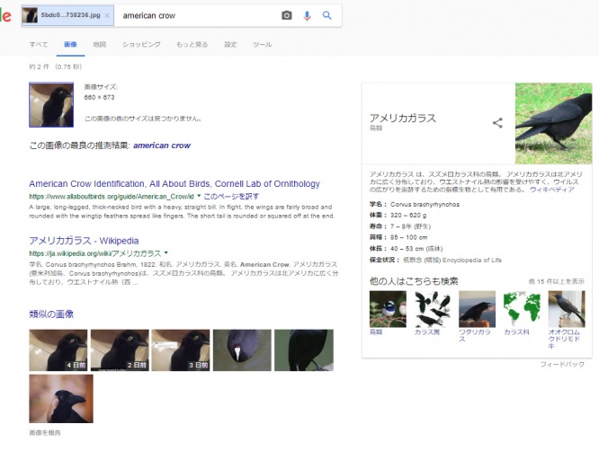 Google画像検索