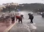 「ラッキー！！」暴風雨の中、橋に打ち上げられた魚たちを拾っていく人たち。