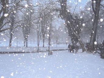 雪が降る街路。写真はイメージ（Stöhrfallさん撮影、Wikimedia Commons